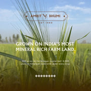 A2 Gir Cow Ghee
